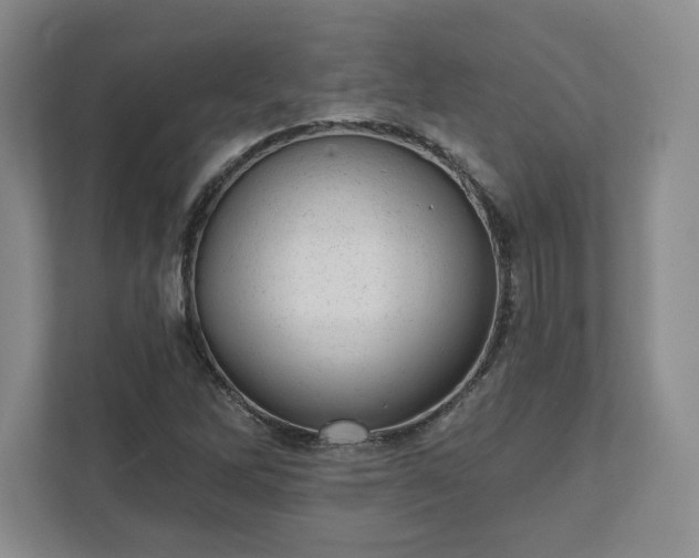 X0000111941262200908031131