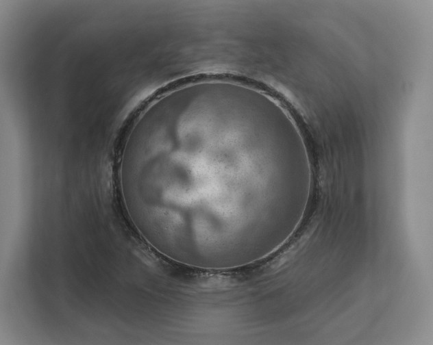 X0000111941263200908031131