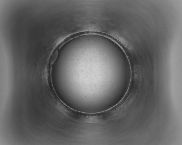 X0000111941264200908031131