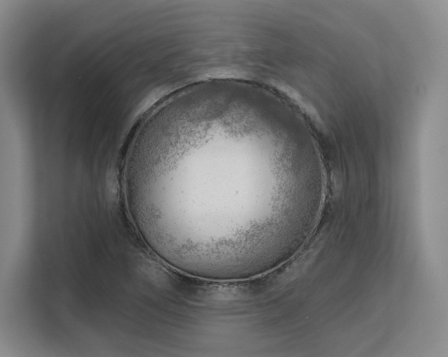 X0000111941266200908031131