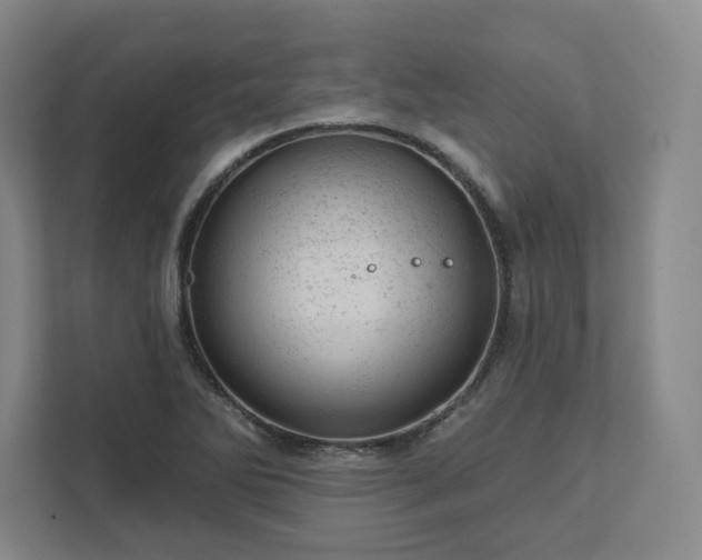 X0000111941270200908031131