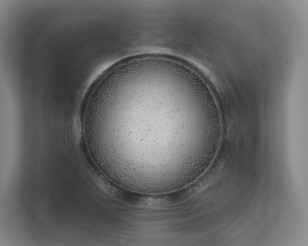 X0000111941271200908031131