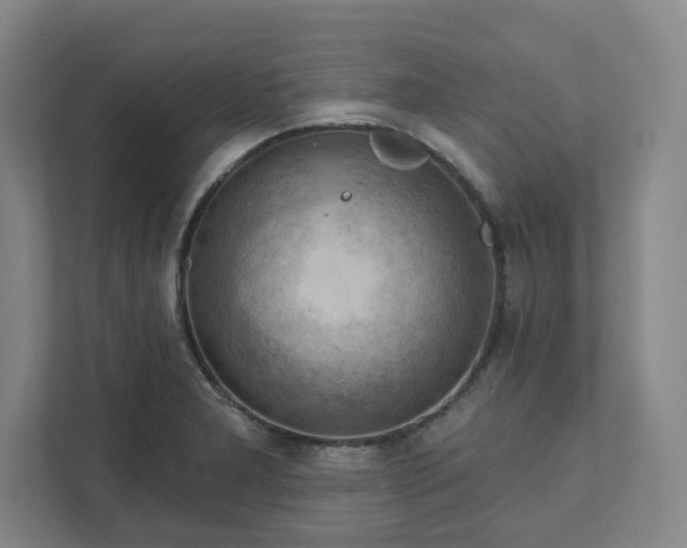 X0000111941277200908031131