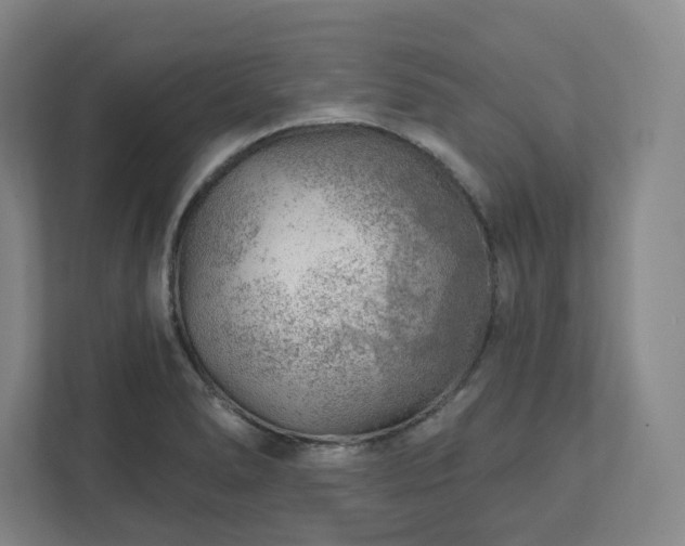 X0000111941278200908031131