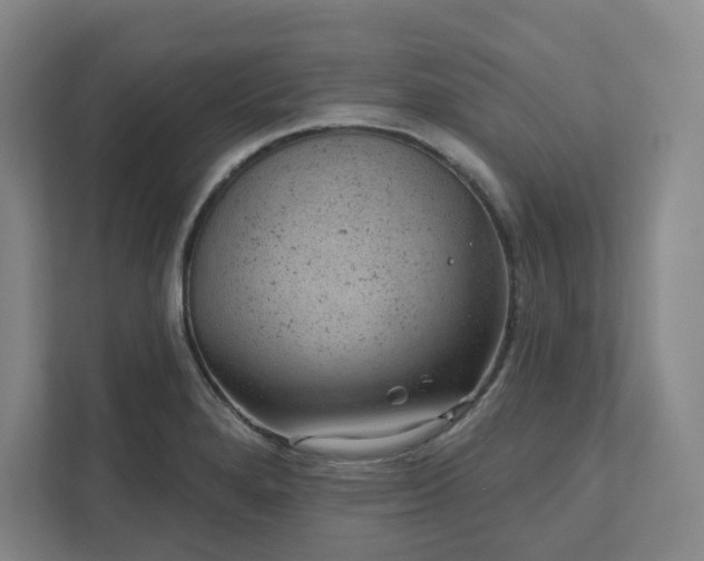 X0000111941280200908031131