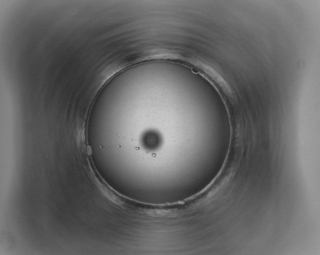 X0000111941281200908031131