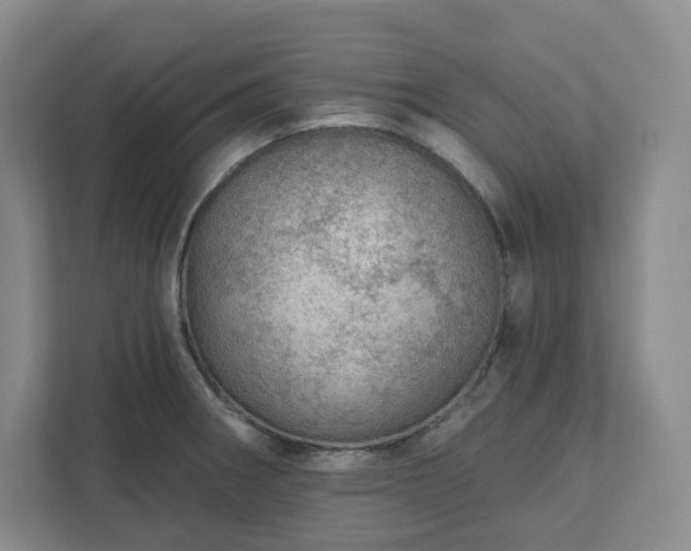 X0000111941282200908031131