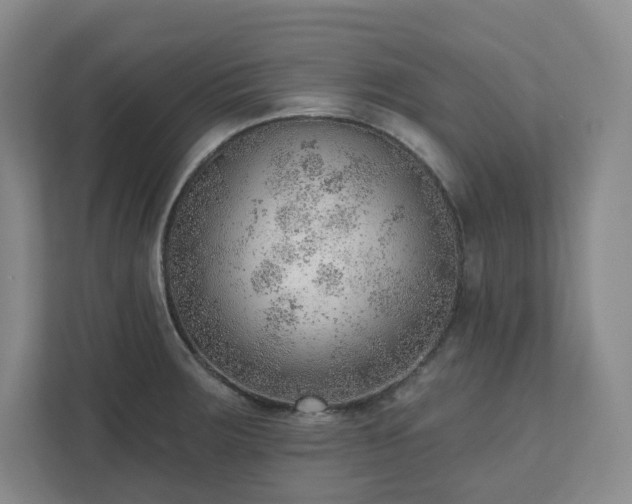 X0000111941283200908031131