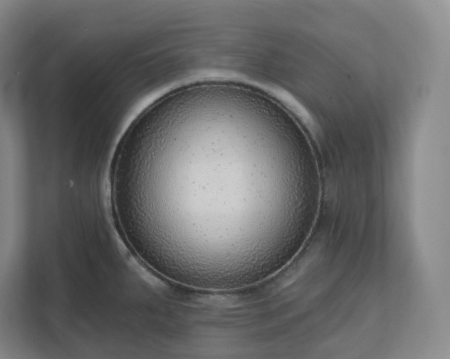 X0000111941287200908031130