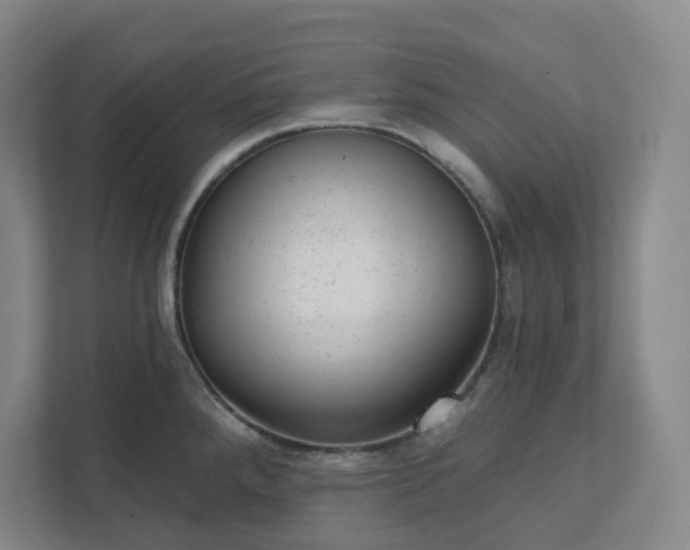 X0000111941288200908031130