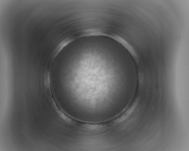 X0000111941289200908031130