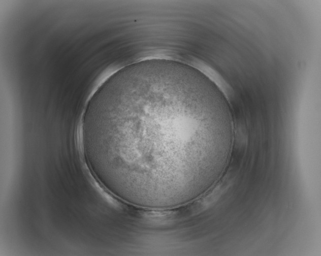 X0000111941290200908031130