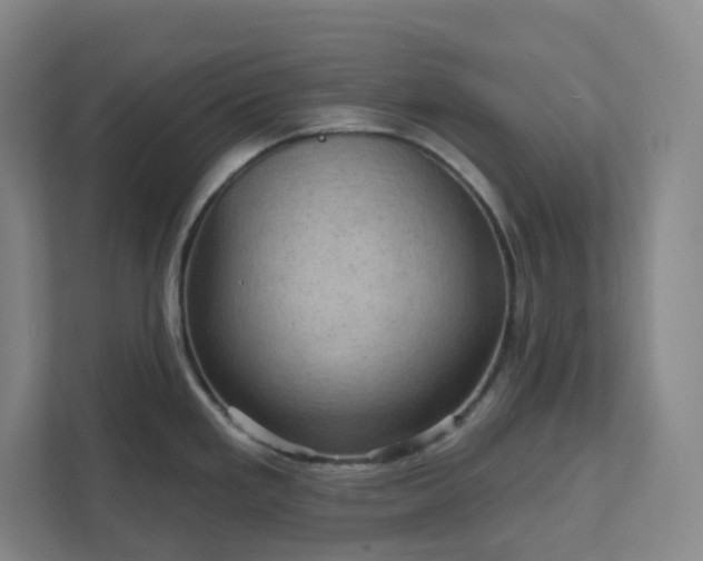 X0000111941293200908031130