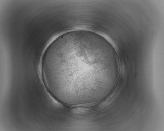 X0000111941294200908031130