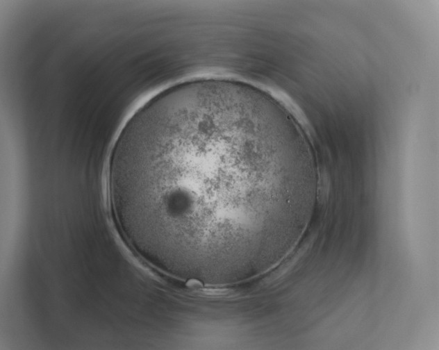 X0000111941295200908031130