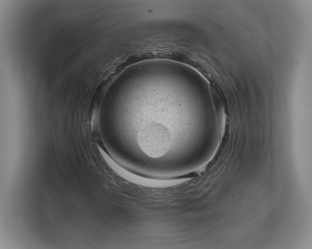 X0000111941298200908031130