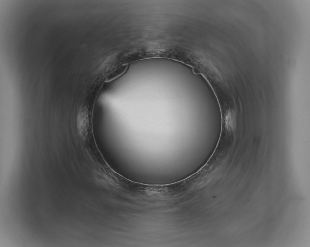 X0000111941299200908031130