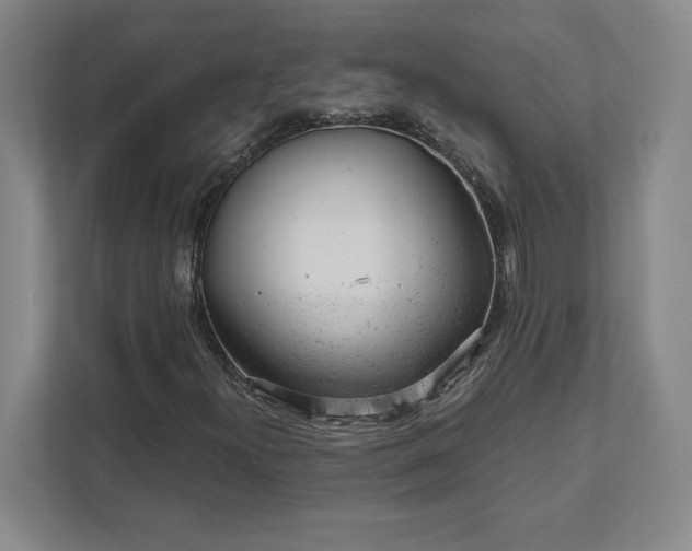 X0000111941300200908031130