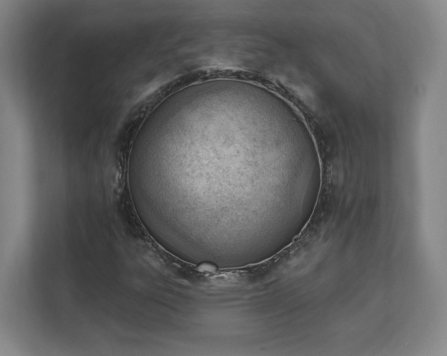 X0000111941303200908031130