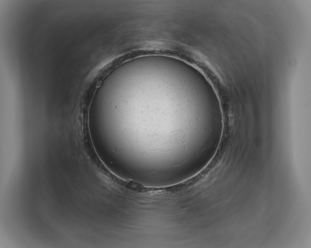 X0000111941304200908031130