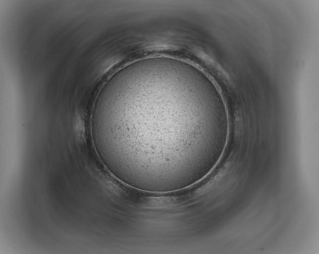 X0000111941305200908031130