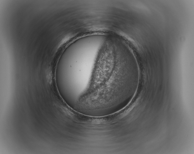 X0000111941306200908031130