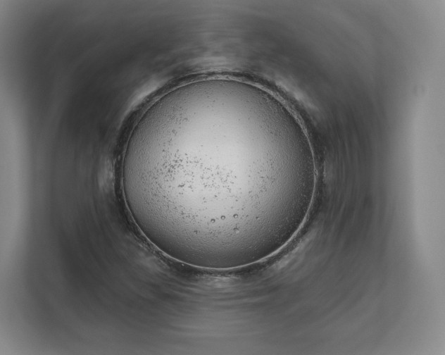 X0000111941309200908031130