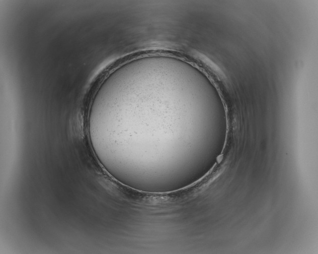 X0000111941310200908031130