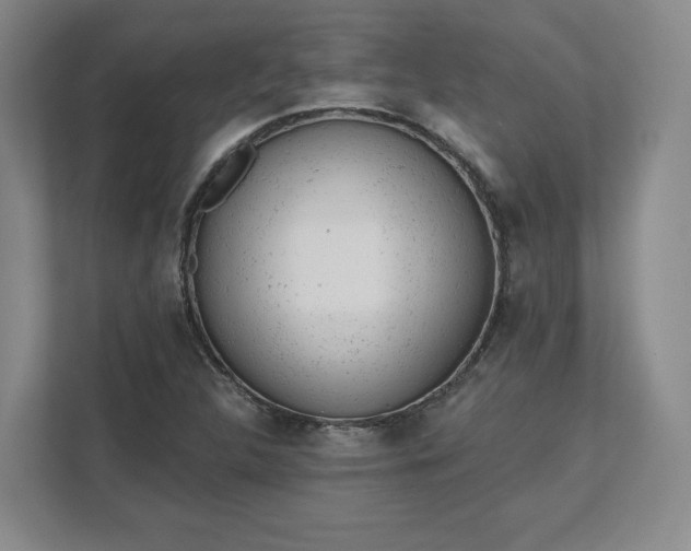 X0000111941312200908031130