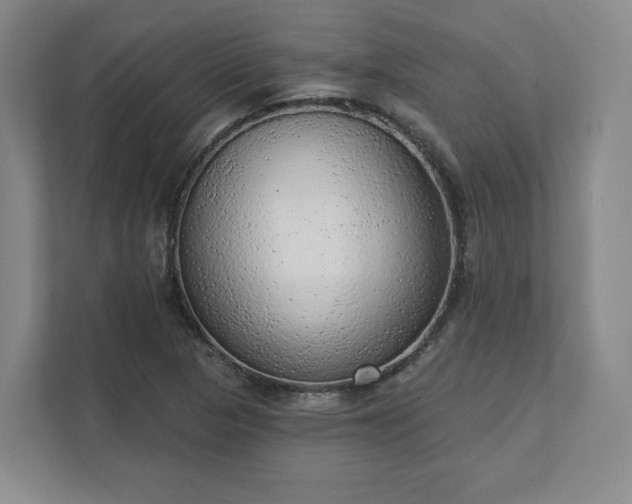 X0000111941313200908031130