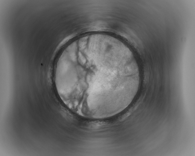 X0000111941314200908031130