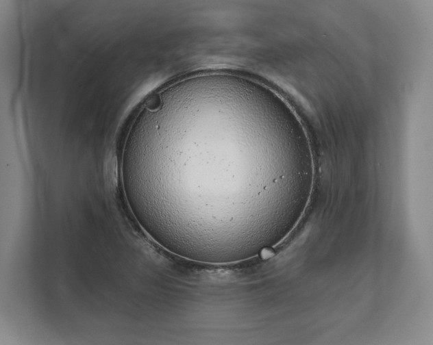 X0000111941317200908031130