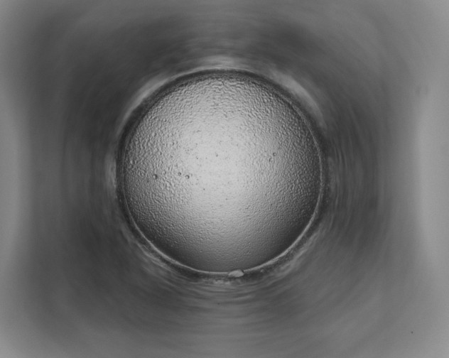 X0000111941318200908031130