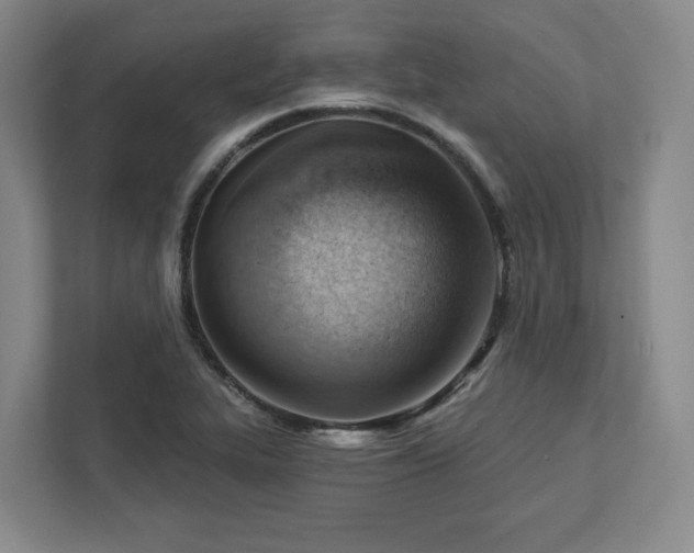 X0000111941319200908031130