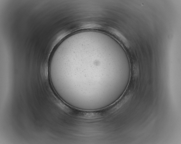 X0000111941322200908031130