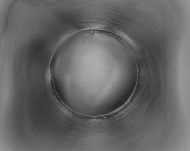 X0000111941324200908031130