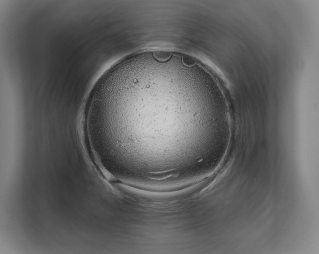 X0000111941325200908031130