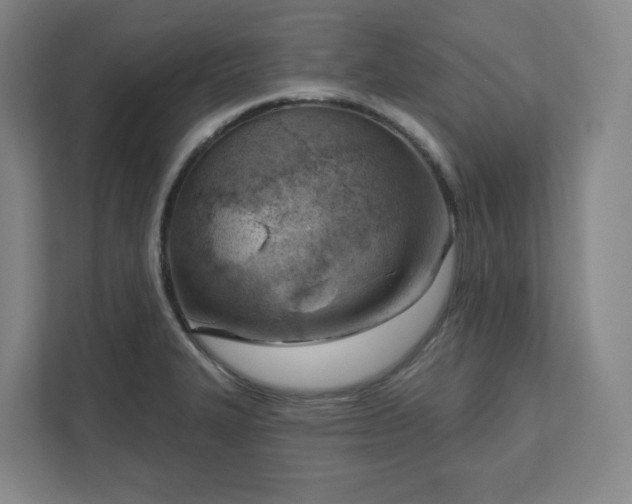 X0000111941327200908031130