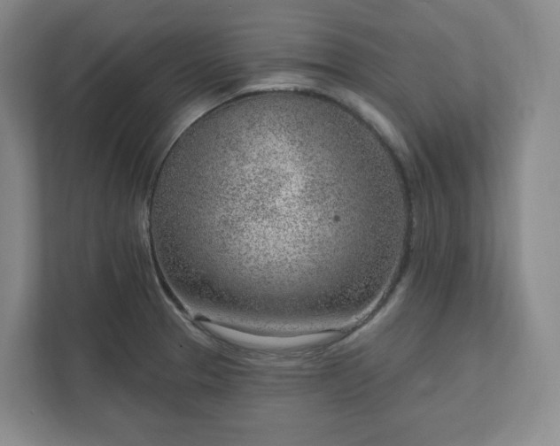 X0000111941329200908031130