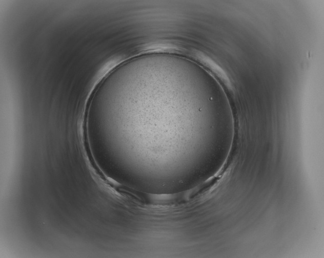 X0000111941330200908031130