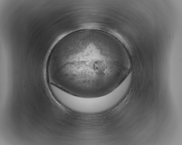 X0000111941331200908031130