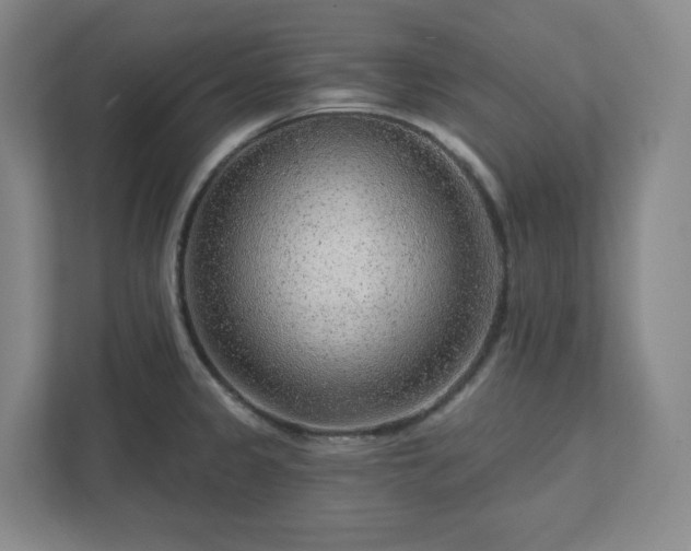 X0000111941333200908031130