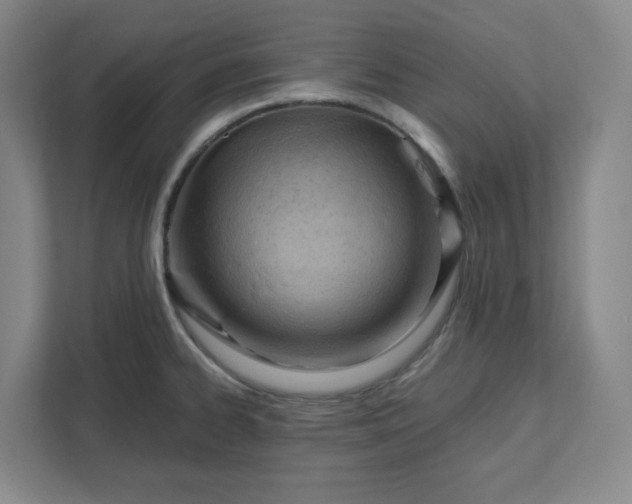 X0000111941334200908031130