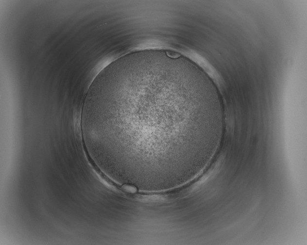 X0000111941337200908031130