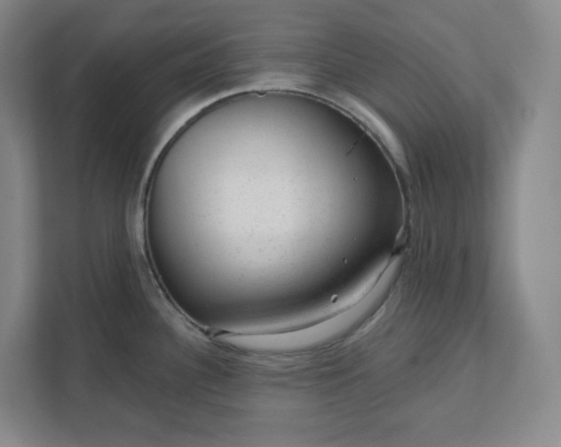 X0000111941340200908031130