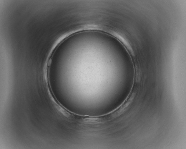 X0000111941342200908031130