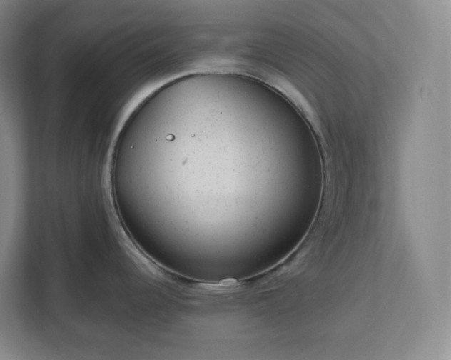 X0000111941344200908031130