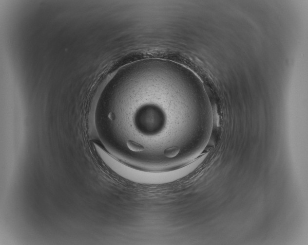 X0000111941345200908031130