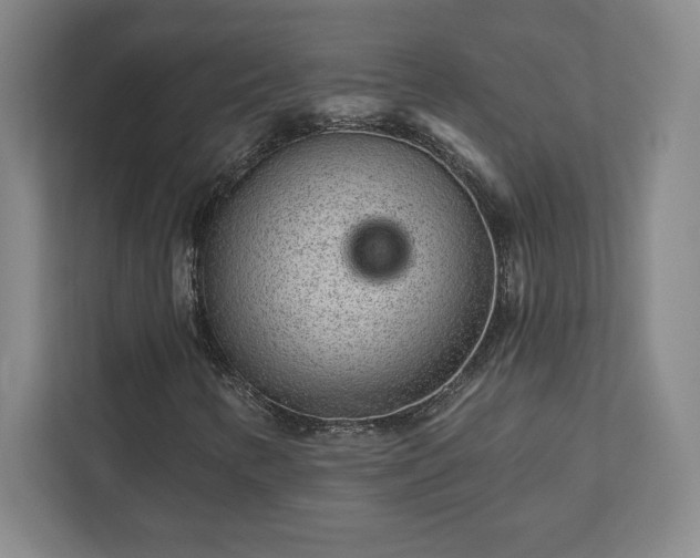 X0000111941346200908031130