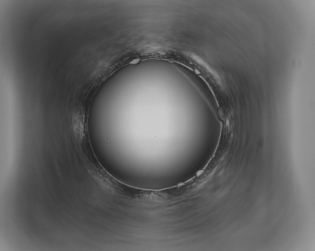 X0000111941348200908031130